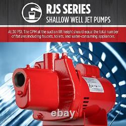 Red Lion RJS-100-PREM 1 HP, 23 GPM, 115/230 Volt, Premium Cast Iron Red, 602208