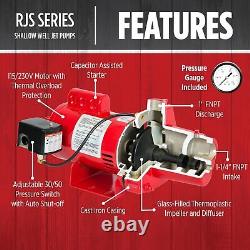 Red Lion RJS-100-PREM 1 HP, 23 GPM, 115/230 Volt, Premium Cast Iron Red, 602208