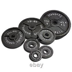 Single 100lb Weight Plate Cast Iron Olympic Weights Weightlifting Gym Fitness