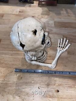 Skull Mechanical Piggy Bank Cast Iron Bone Collector 5+ LBS Patina Skeleton GIFT