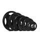 Titan Fitness 245 Lb Set Black Grip Plates, Cast Iron And Rubber Coating, Sold A