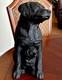 Vintage Cast Iron Black Labrador With Baby Dogdoorstop 19 Lbs 13 Tall