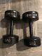 Vintage York 30 Lb Roundhead Dumbbell Weights Pair Pre-usa Stamp