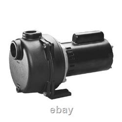 WAYNE WLS200 2 HP Cast Iron High Volume Lawn Sprinkling Pump