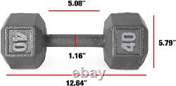 WF Athletic Supply Cast Iron Solid Hexagon Gray Dumbbells, Strength Training Fre