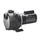 Wayne 1-1/2 Hp 4350 Gph Cast Iron Sprinkler Pump