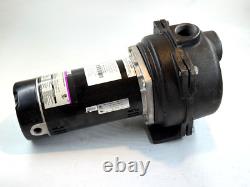Wayne WLS150 1.5 HP High Volume Cast Iron Lawn Sprinkling Pump