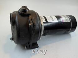 Wayne WLS150 1.5 HP High Volume Cast Iron Lawn Sprinkling Pump