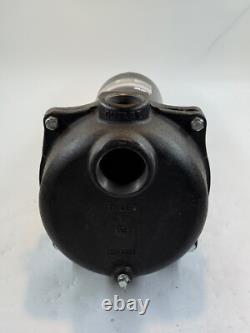 Wayne WLS150 1.5 HP High Volume Cast Iron Lawn Sprinkling Pump