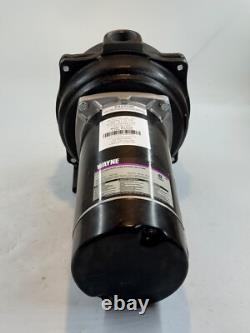 Wayne WLS150 1.5 HP High Volume Cast Iron Lawn Sprinkling Pump