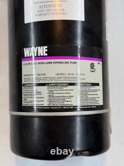 Wayne WLS150 1.5 HP High Volume Cast Iron Lawn Sprinkling Pump