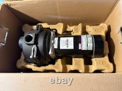 Wayne WLS150 1.5 HP High Volume Cast Iron Lawn Sprinkling Pump