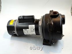 Wayne WLS200 2 HP Cast Iron Lawn Sprinkler Pump