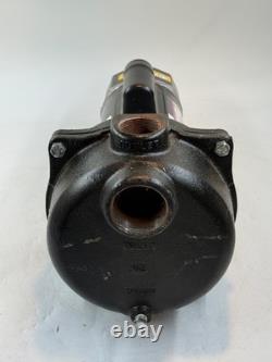Wayne WLS200 2 HP Cast Iron Lawn Sprinkler Pump