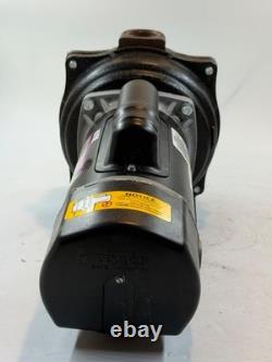 Wayne WLS200 2 HP Cast Iron Lawn Sprinkler Pump