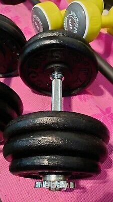 Weights Dumbbells set 118 lb cast iron plates gym dumbell for bench press barbel