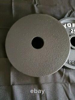 York Barbell CAST IRON Olympic 25lb Plates PAIR Brand New 2 inch hole