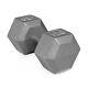 Barbell 120lb Cast Iron Hex Dumbbell, Simple