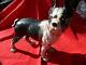 Cast Vintage Fer Boston Terrier Butoir Porte Grande 10 X 9 Grand Long Environ 8 Lb