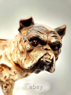 Chien bulldog anglais en fonte Hubley Toy Co Tirelire Cale-porte lourd de 4,75 livres