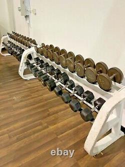 Iron Grip Dumbbell Set 12.5-100lbs Withicarian Rack Mixed Set