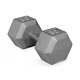 Nouveau Style Barbell 95lb Cast Iron Hex Dumbbell, Simple. (taille Multiple)