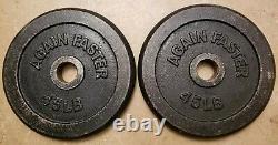 Paire 45lb Olympic Weight Plates 2 90lbs Total Again Faster Fast Ship