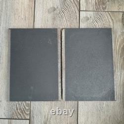 Plaques d'accès à double porte en fonte Buck Stove Lisez