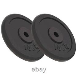 Plaques de poids VidaXL 2 pcs 2x22,0 lb en fonte