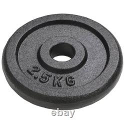 Plaques de poids VidaXL 8 pcs 8x2,5 kg en fonte