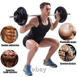 Plaques de poids olympiques en fonte de 55 lb pour musculation et fitness - 2 plaques de barre