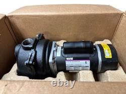 Pompe à arroseur de pelouse en fonte Wayne 2 HP WLS200 (OB)