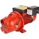 Pompe à Eau à Jet De Puits Peu Profond En Fonte Red Lion, 864 Gph, 3/4 Hp, 1 1/4 Po