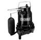Pompe Submersible De Puisard De Qualité Professionnelle En Fonte Everbilt 3/4hp 1004 120 345 Hds75