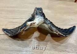 Rare Antique Weathered Cast Iron American Eagle 28 Lbs Historic Decor<br/>Traduction en français: Rare Aigle américain en fonte antique et patiné de 28 livres, décoration historique.